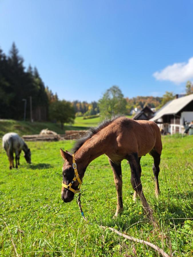 Ferienwohnung Tourist Farm Pr' Maretc Bohinjska Bistrica Exterior foto