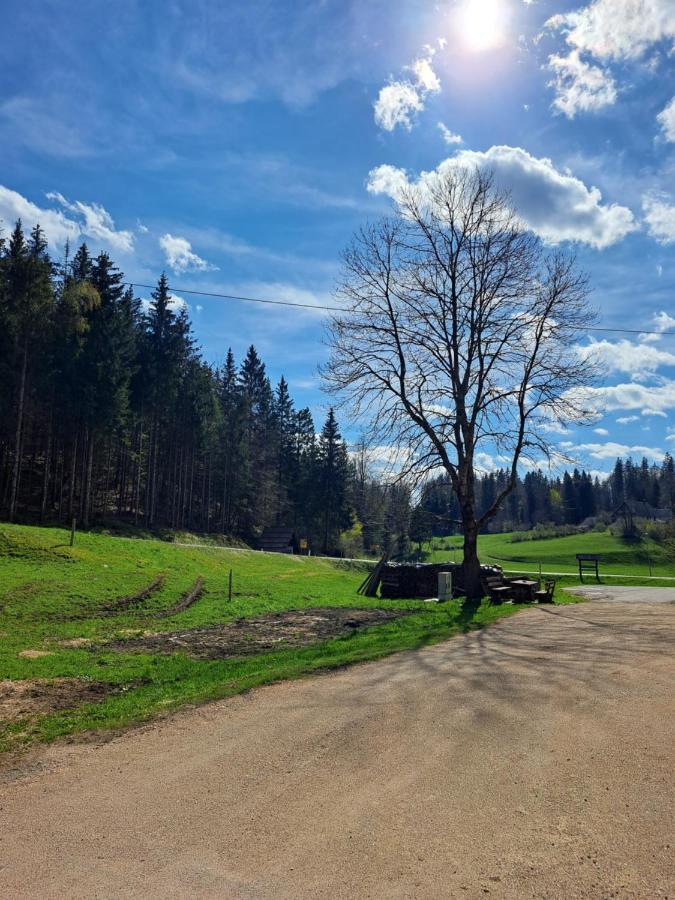 Ferienwohnung Tourist Farm Pr' Maretc Bohinjska Bistrica Exterior foto